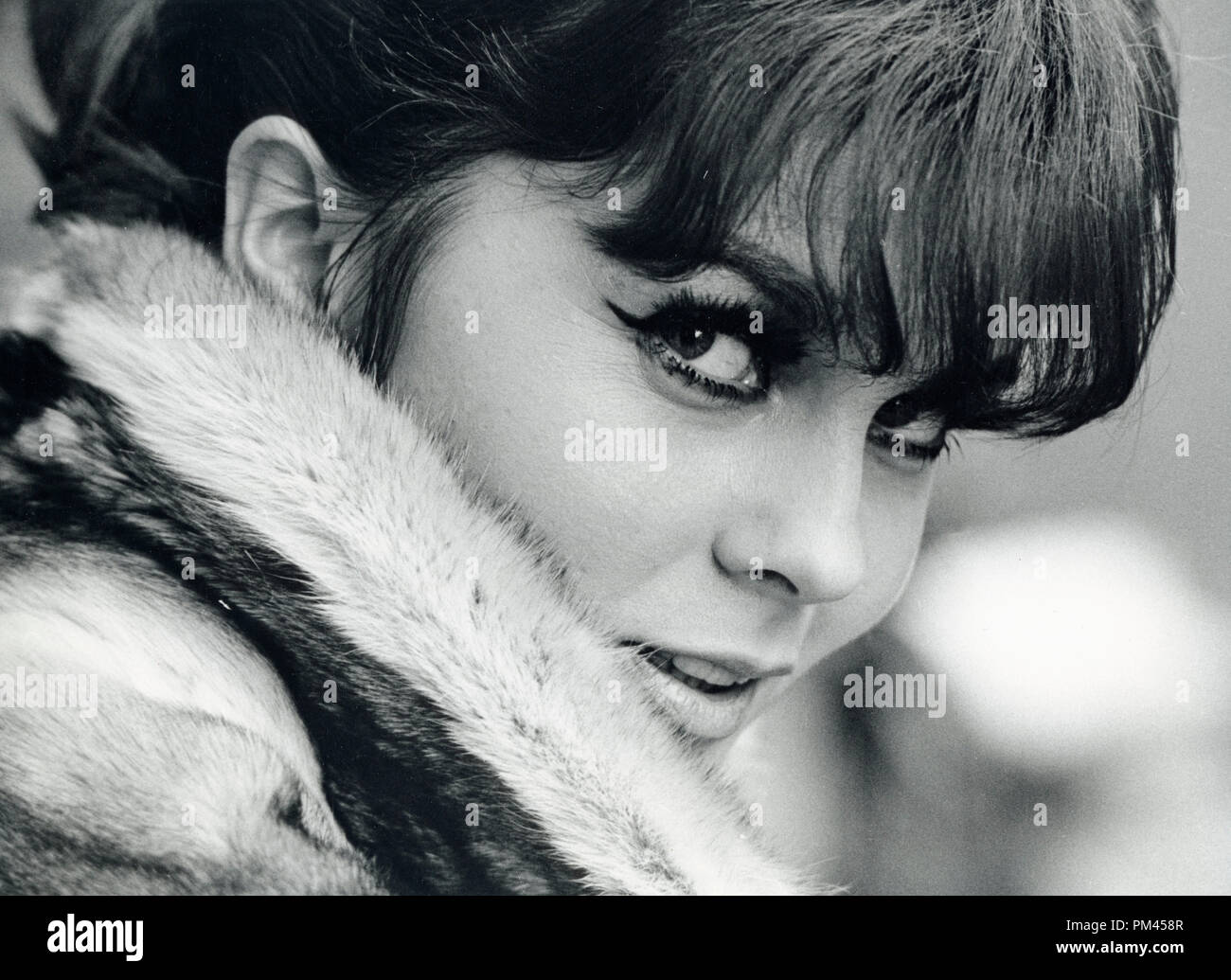 Ann-Margret, December1966. File Reference #1033 004THA © JRC /The Hollywood Archive - All Rights Reserved. Stock Photo