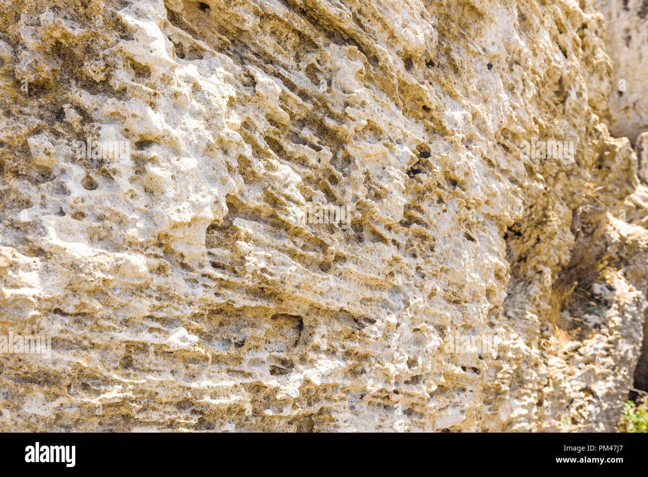 Porous stone hires stock photography and images Alamy