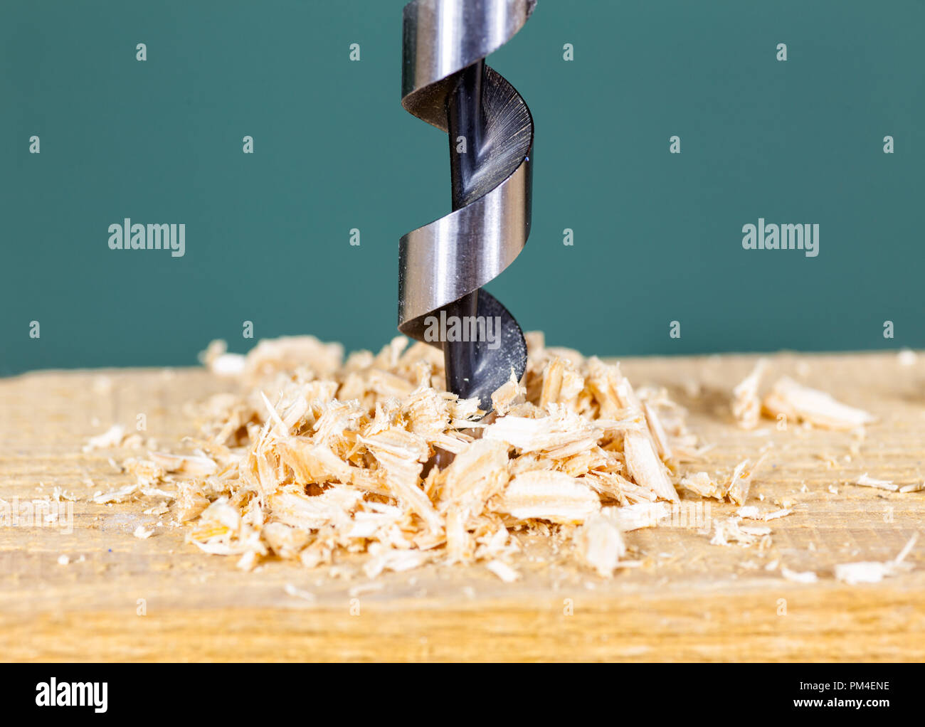 Wood drill bit with shavings Stock Photo Alamy