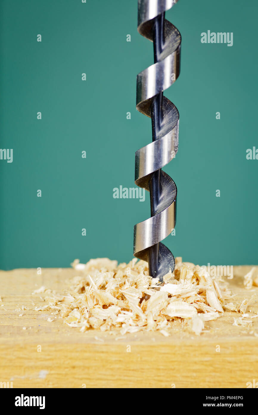 Wood drill bit with shaving Stock Photo Alamy