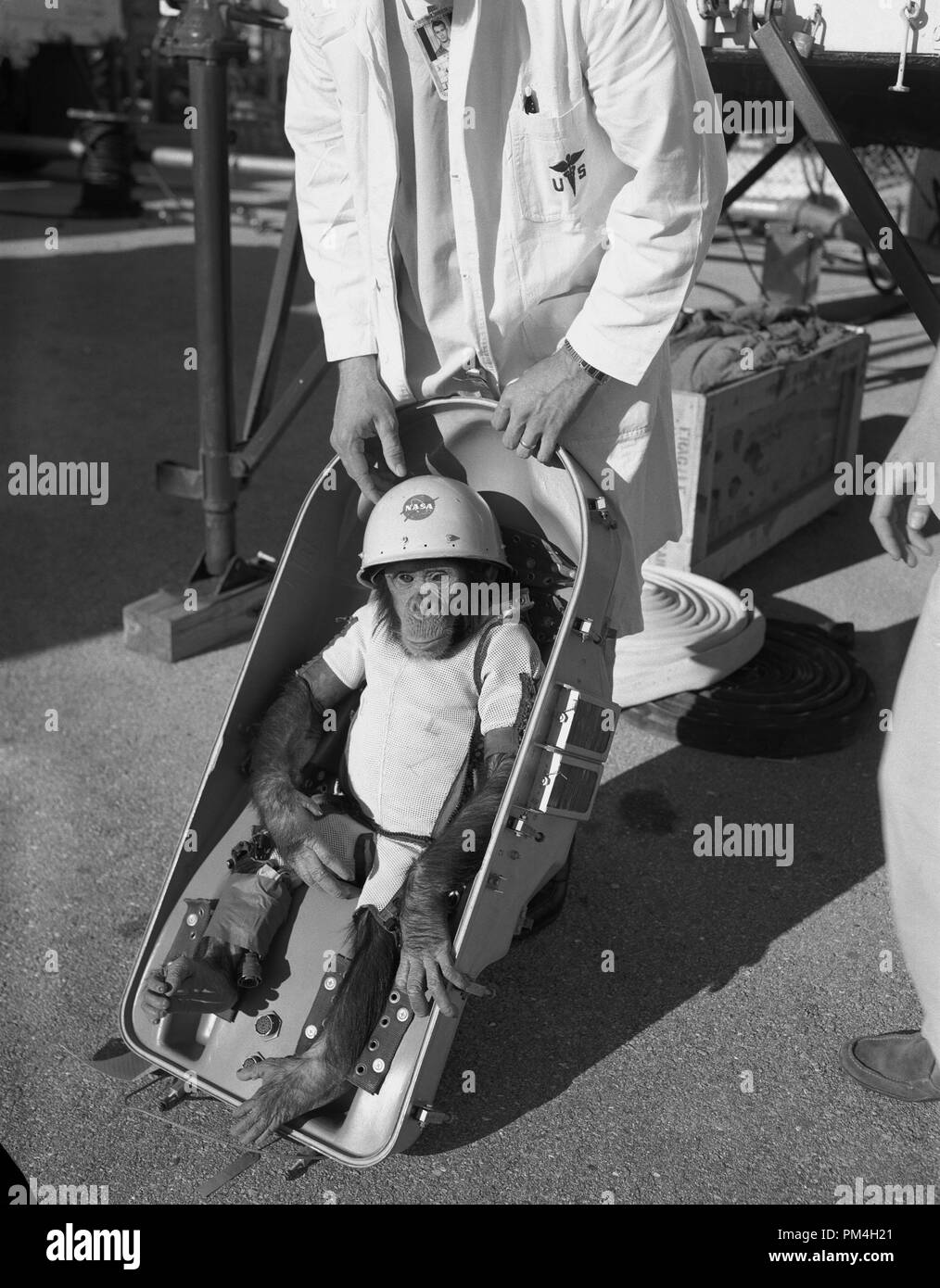 (31 Jan. 1961) --- Primate chimpanzee Ham, in his spacesuit, is fitted into the couch of the Mercury-Redstone 2 (MR-2) capsule #5 prior to its test flight which was conducted on Jan. 31, 1961.  File Reference # 1003 184THA Stock Photo