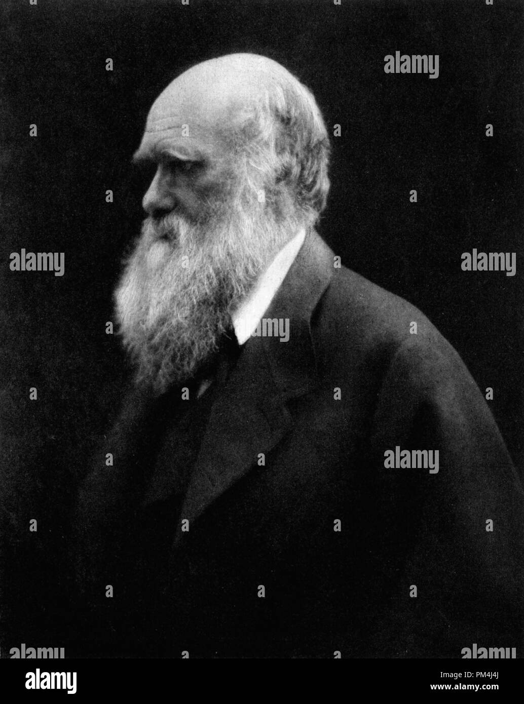 Charles Darwin, photographed by Julia Margaret Cameron 1868   File Reference # 1003 520THA Stock Photo