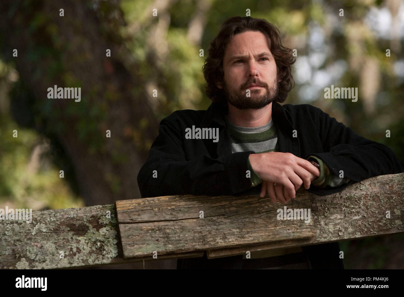 Henry Thomas Stars In Screen Gems Romantic Drama Dear John Stock Photo Alamy