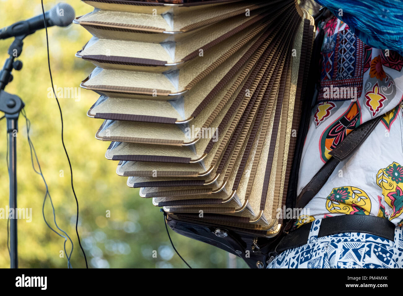 Close up of accordion and accordion player playing at a Klezmer Jewish