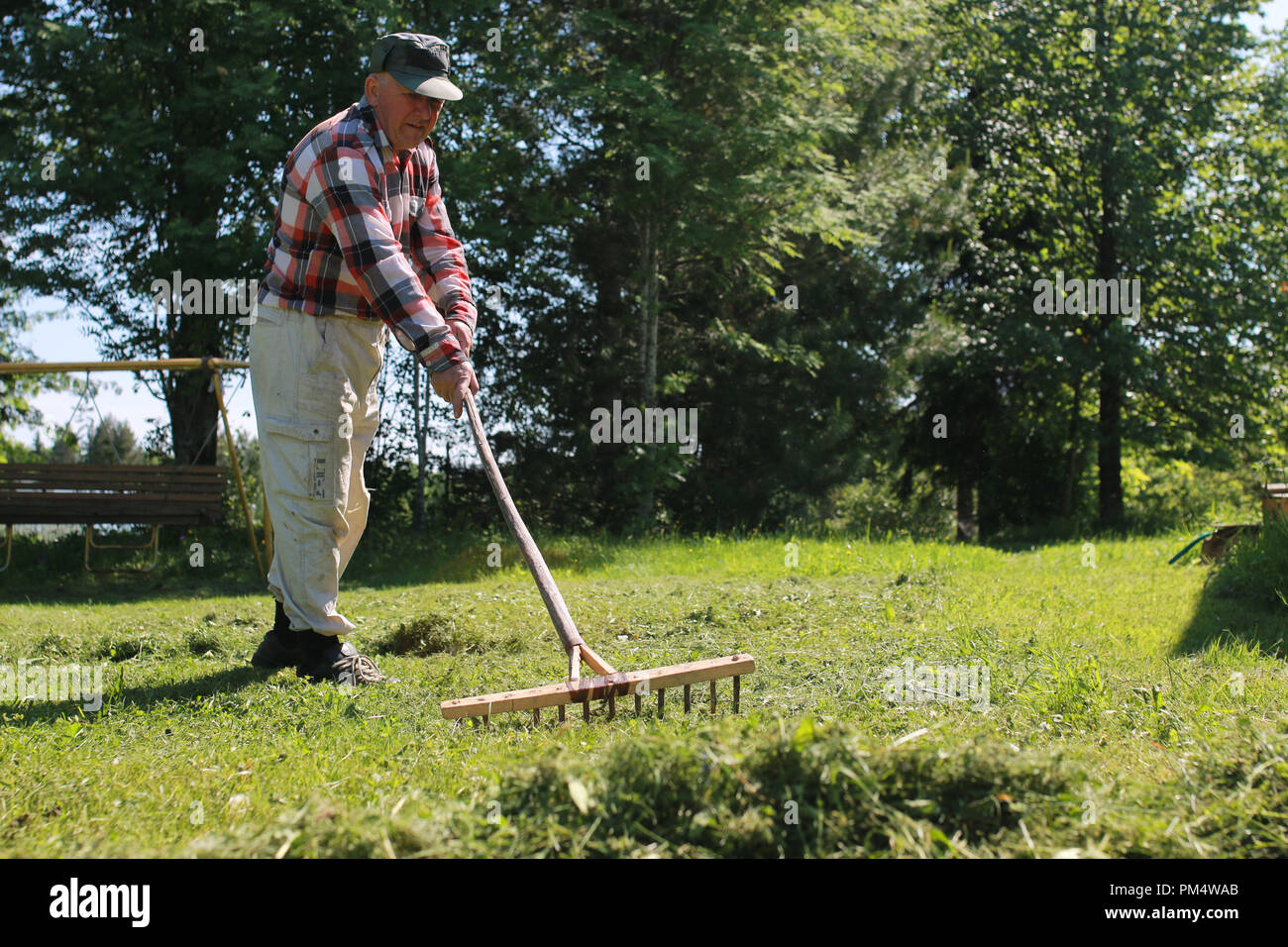 Cleaning with a rake on a farm Stock Photo - Alamy