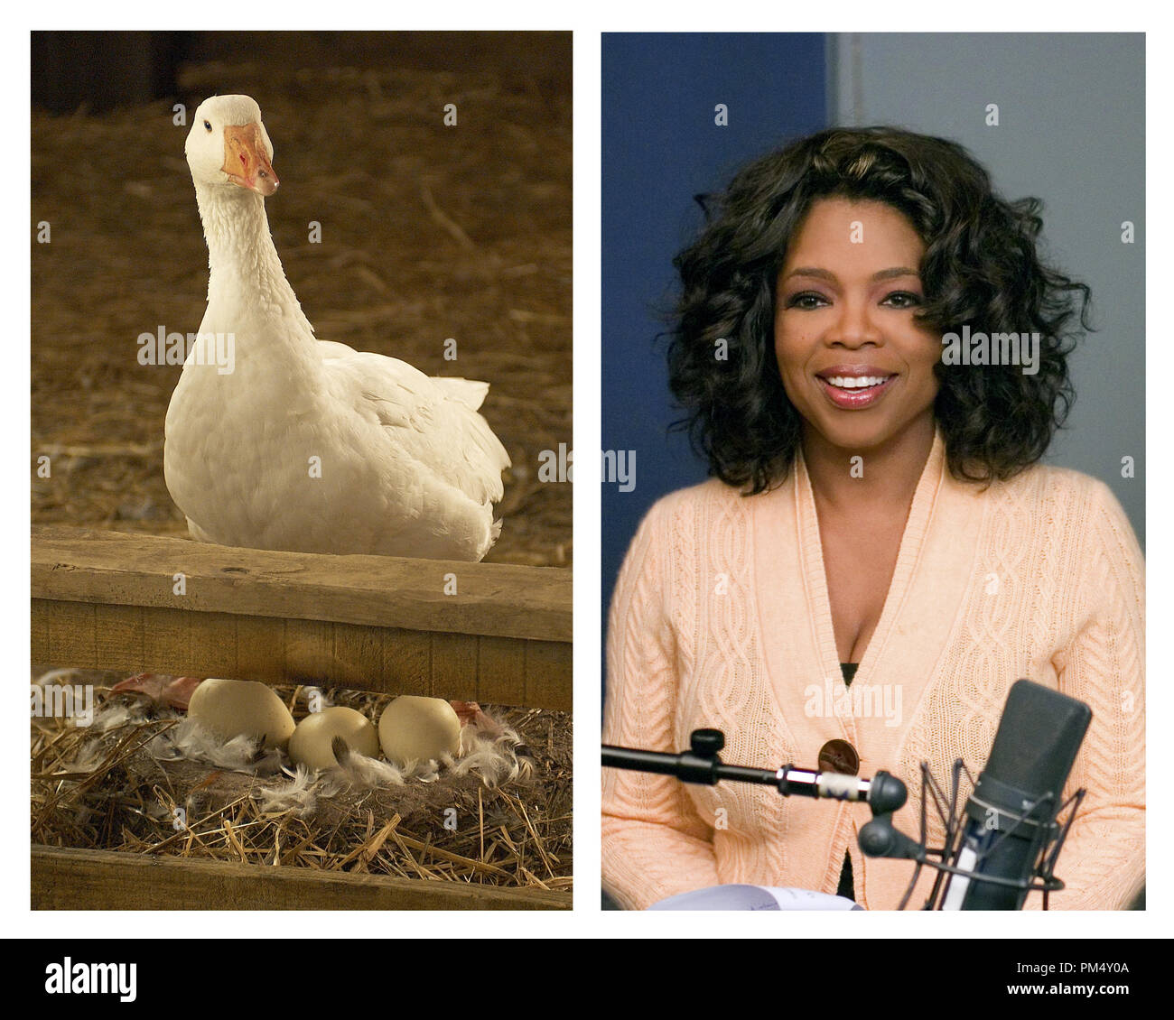 Film Still / Publicity Still from 'Charlotte's Web' Gussy (Oprah Winfrey) © 2006 Paramount Pictures Photo Credit: Suzy Wood / Mark Fellman   File Reference # 30737271THA  For Editorial Use Only -  All Rights Reserved Stock Photo