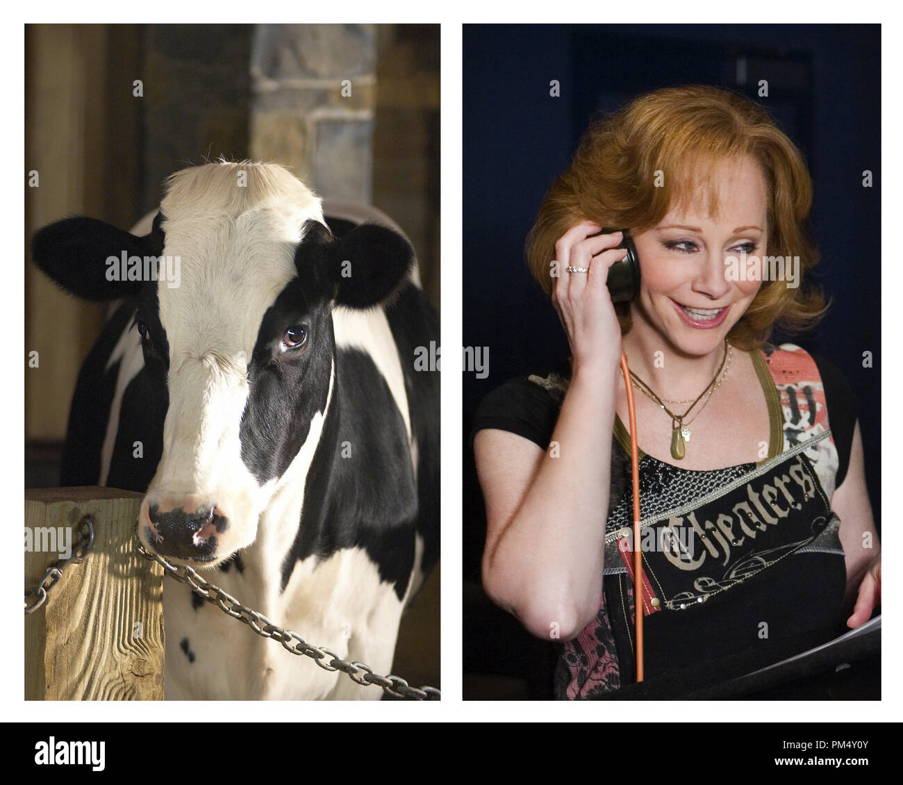 Film Still / Publicity Still from 'Charlotte's Web' Betsy (Reba McEntire) © 2006 Paramount Pictures Photo Credit: Suzy Wood / Mark Fellman   File Reference # 30737272THA  For Editorial Use Only -  All Rights Reserved Stock Photo