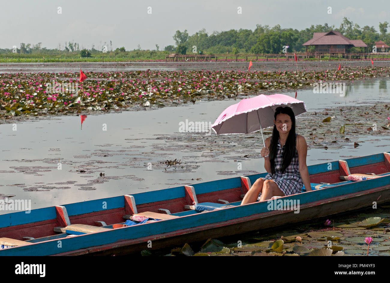 Thai woman with umbrella - Pink water lilies - Tale Noi - Patthalung - Thailand Femme Thaï Stock Photo