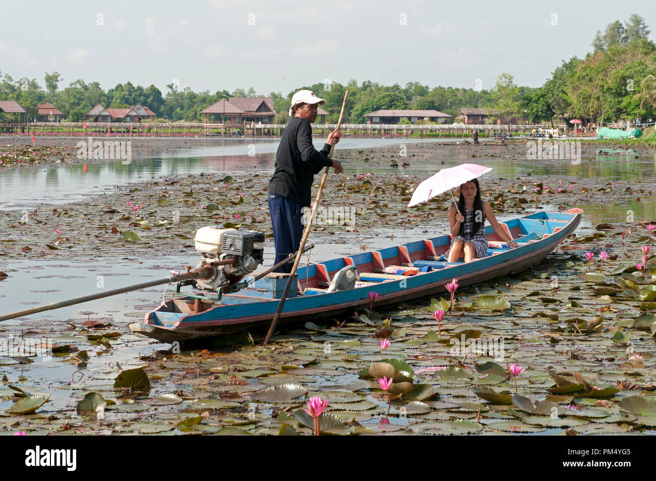 Thai woman with umbrella - Pink water lilies - Tale Noi - Patthalung - Thailand Femme Thaï Stock Photo