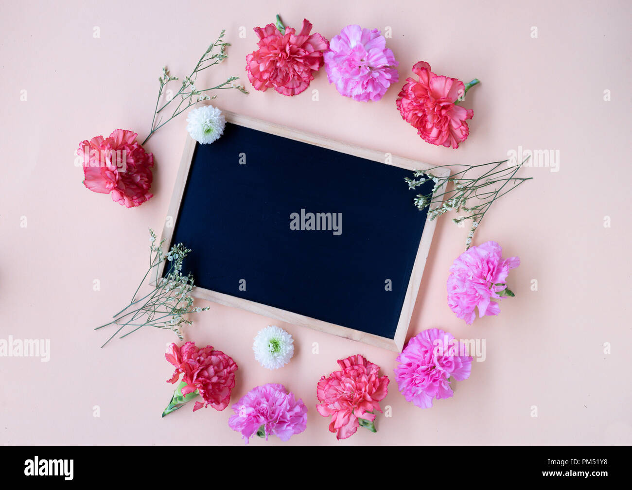 black chalk board with fresh carnation flower on soft cream background with copy space Stock Photo