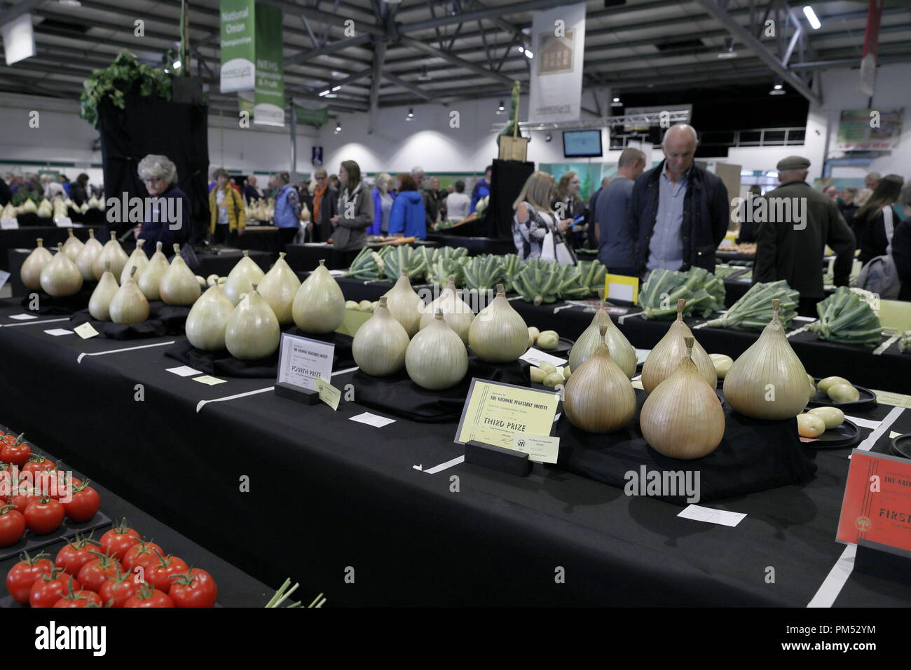 Harrogate Flower Show 2018 Harrogate, Yorkshire, UK. 18th Sept, 2018