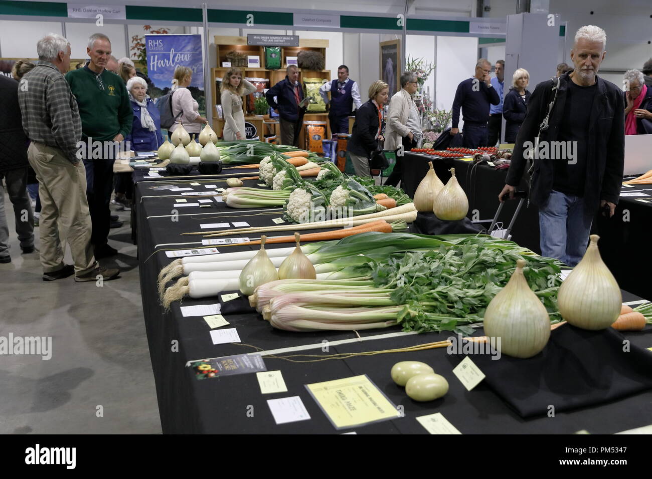 Harrogate Flower Show 2018 Harrogate, Yorkshire, UK. 18th Sept, 2018
