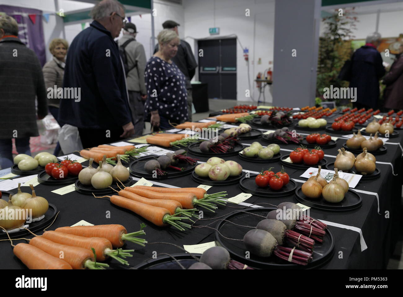Harrogate Flower Show 2018 Harrogate, Yorkshire, UK. 18th Sept, 2018