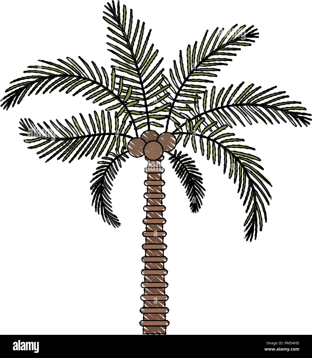 tree palm natural icon Stock Vector Image & Art - Alamy