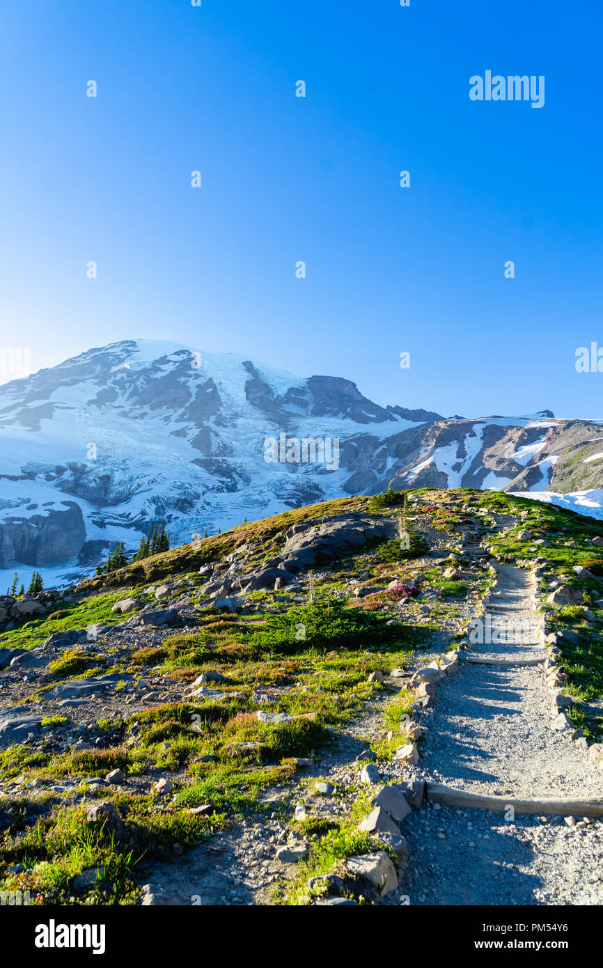 Hiking path near glaciers in Washington State surrounded by snow-capped mountain peaks. Bits of grass poke out from the snow because it is summer. Stock Photo