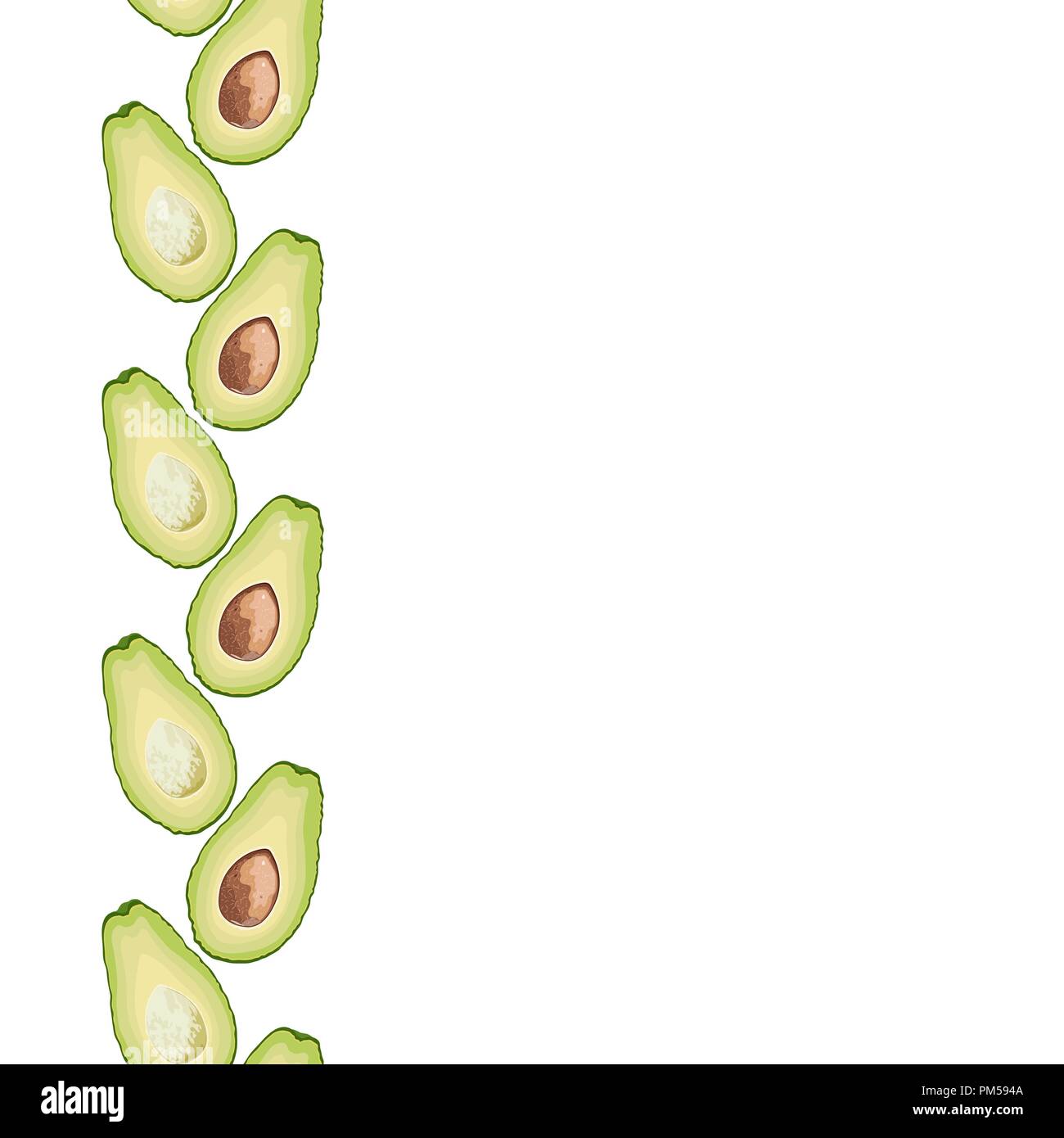 Vector seamless decorative border of avocado slice on white background. Avocado cut texture Stock Vector