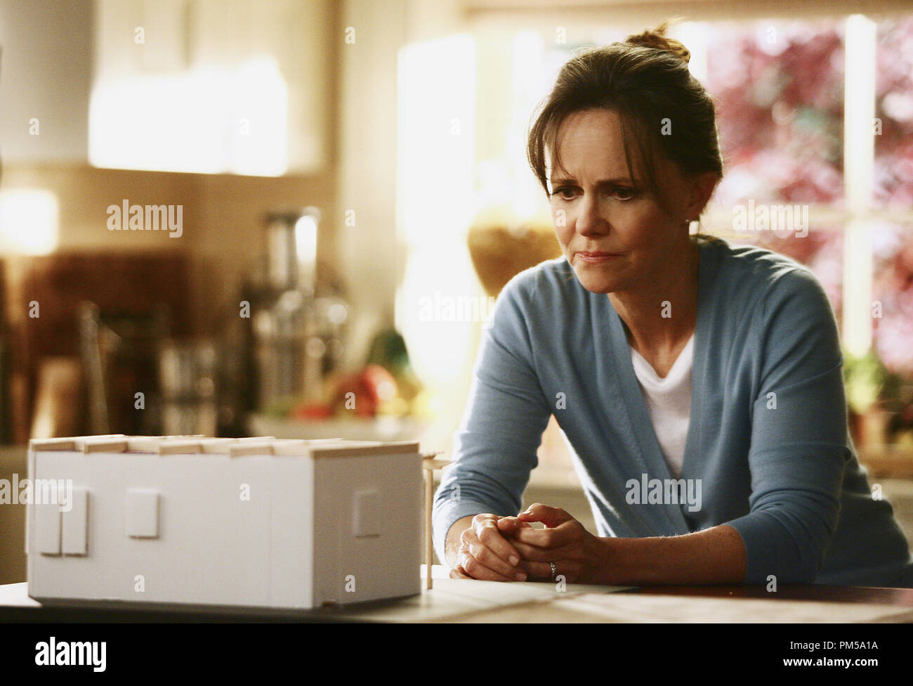 Studio Publicity Still from "Brothers & Sisters" Sally Field 2006 Photo