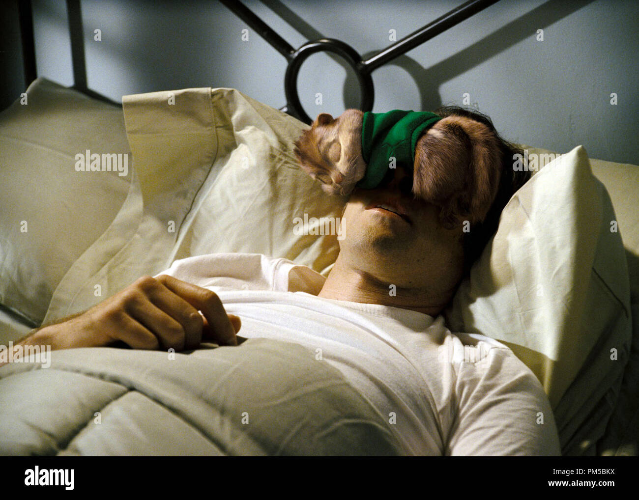 Studio Publicity Still from 'Alvin and the Chipmunks' Theodore, Jason Lee © 2007 20th Century Fox Photo credit: Rhythm & Hues    File Reference # 30738700THA  For Editorial Use Only -  All Rights Reserved Stock Photo