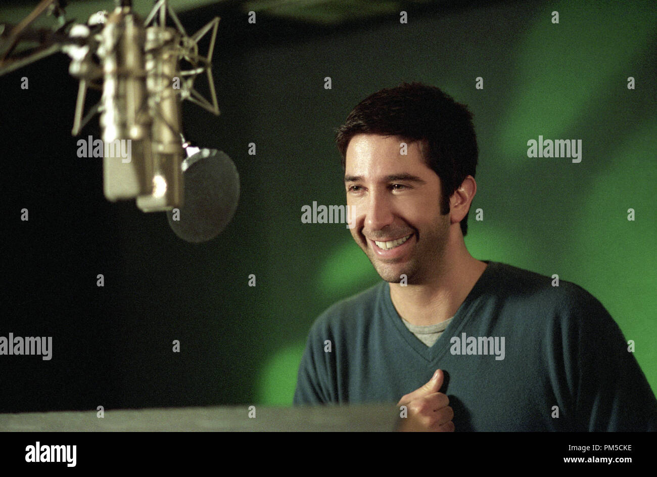 Film Still / Publicity Still from 'Madagascar'  David Schwimmer © 2005 Dream Works  Photo courtesy Dream Works Animation SKG    File Reference # 307361121THA  For Editorial Use Only -  All Rights Reserved Stock Photo