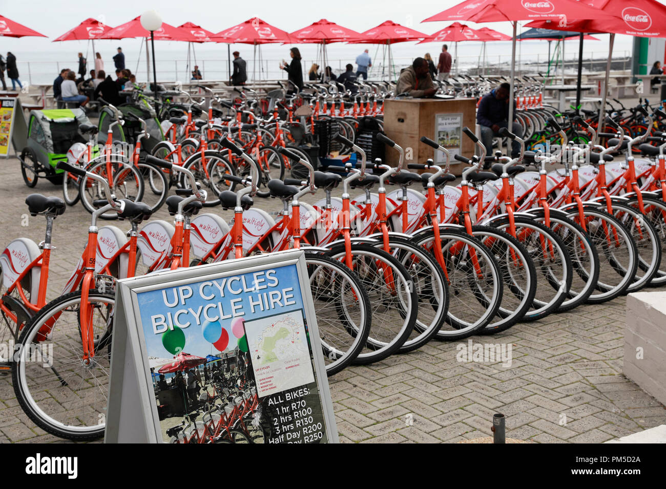 Up Cycles bicycle hire along the promenade at Sea Point, Cape Town