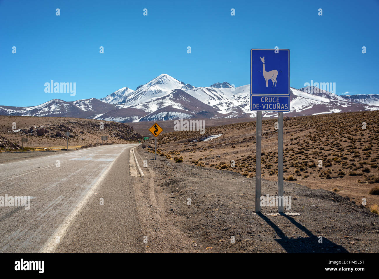 Road sign 'cruce de vicunas' (meaning vicugnas crossing) on a road in Chile Stock Photo