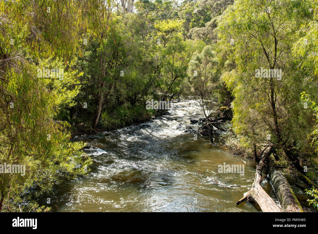 Cascades, Gloucester National Park, Pemberton, WA, Australia Stock