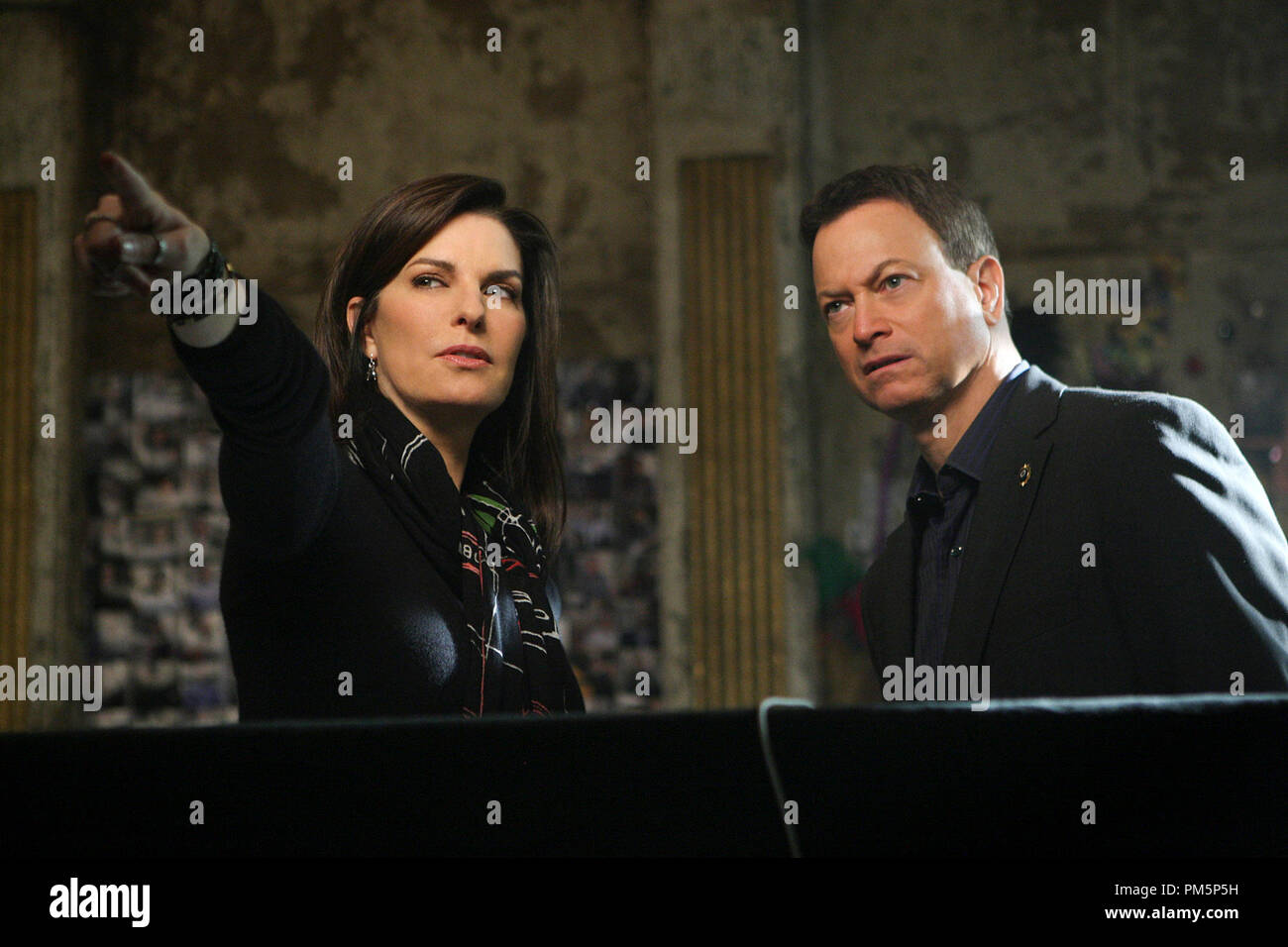 Det. Josephine &quot;Jo&quot; Danville (Sela Ward) left, points out a clue to Det. Mac Taylor (Gary Sinise) while they investigate the death of a conspiracy-obsessed woman on CSI:NY, scheduled to air Friday, Feb. 25 (9:00-10:00 PM, ET/PT) on the CBS Television Network. Photo: Monty Brinton/CBS. © 2011 CBS BROADCASTING INC. ALL RIGHTS RESERVED. Stock Photo