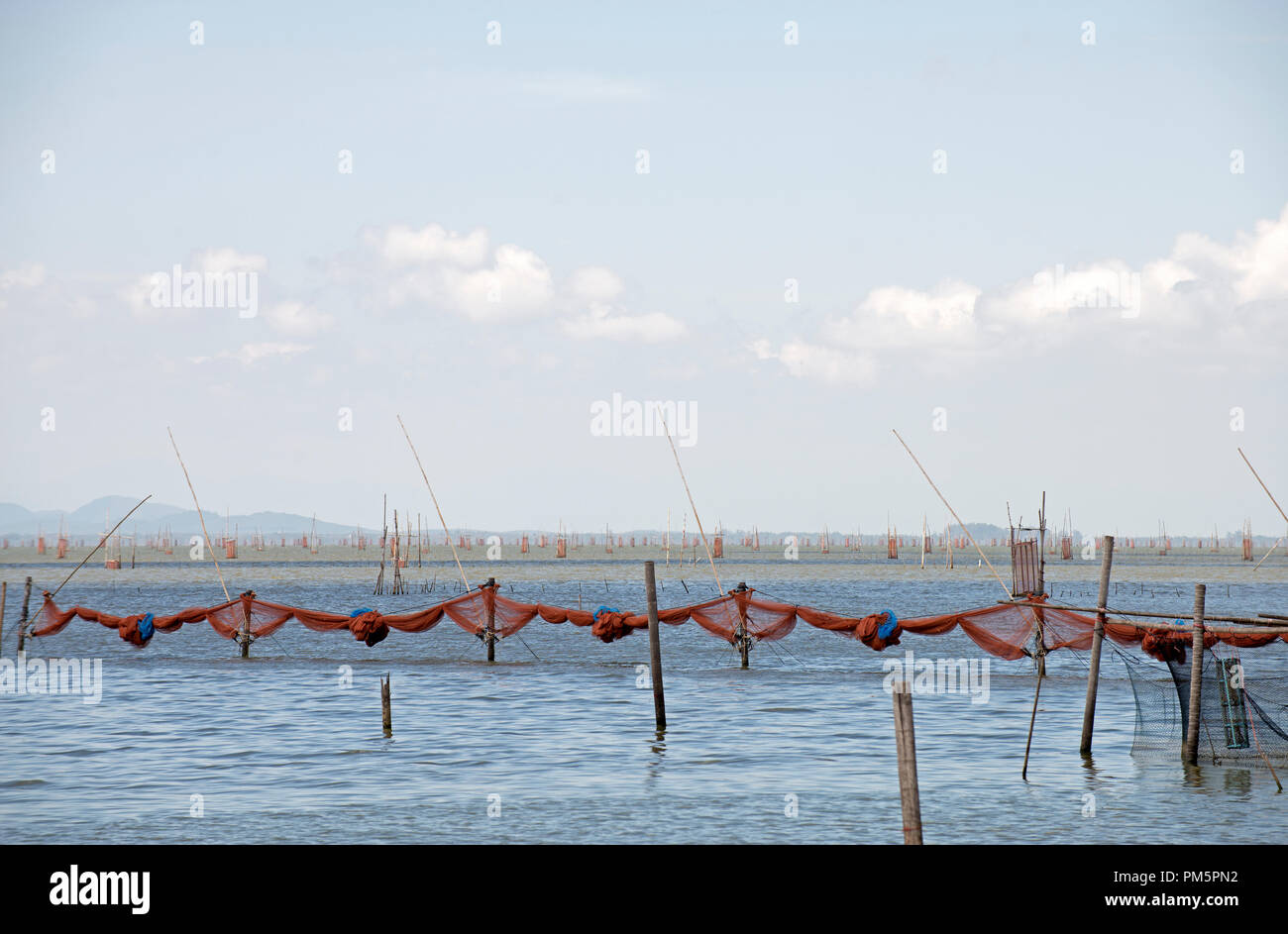 Fish farming hires stock photography and images Alamy