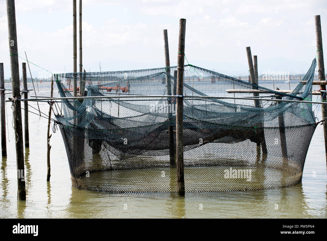Thailand, Songkhla, Koh Yo, Aquacultural farm, Freshwater fish farming