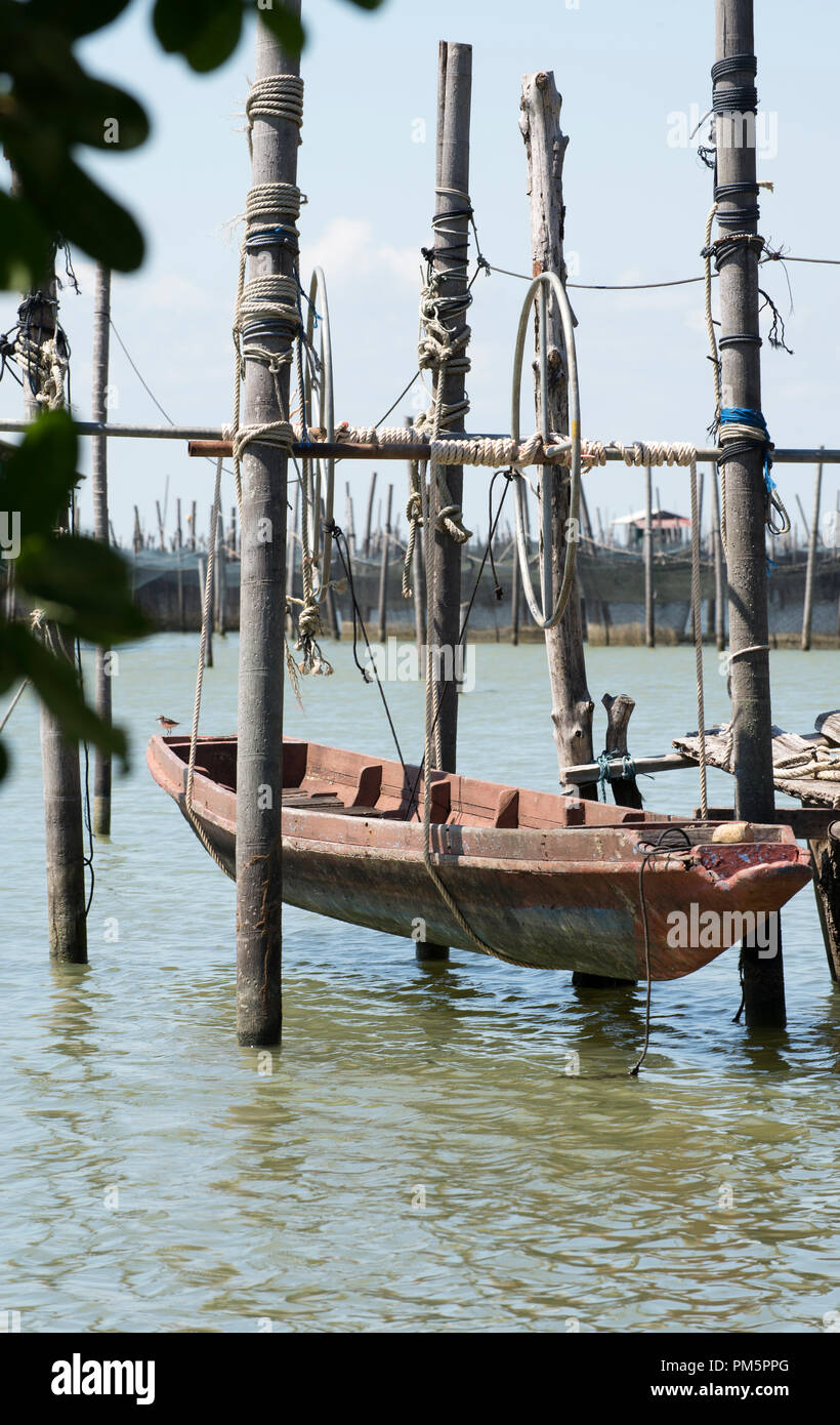 Thailand, Songkhla, Koh Yo, Aquacultural farm, Freshwater fish farming