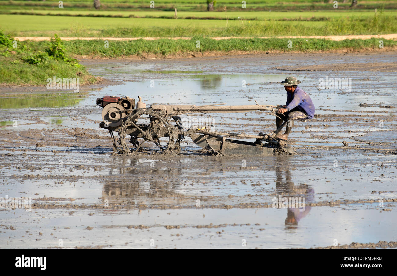 Southern Thailand, Farmer ride rice tractor for preparing the ground ...