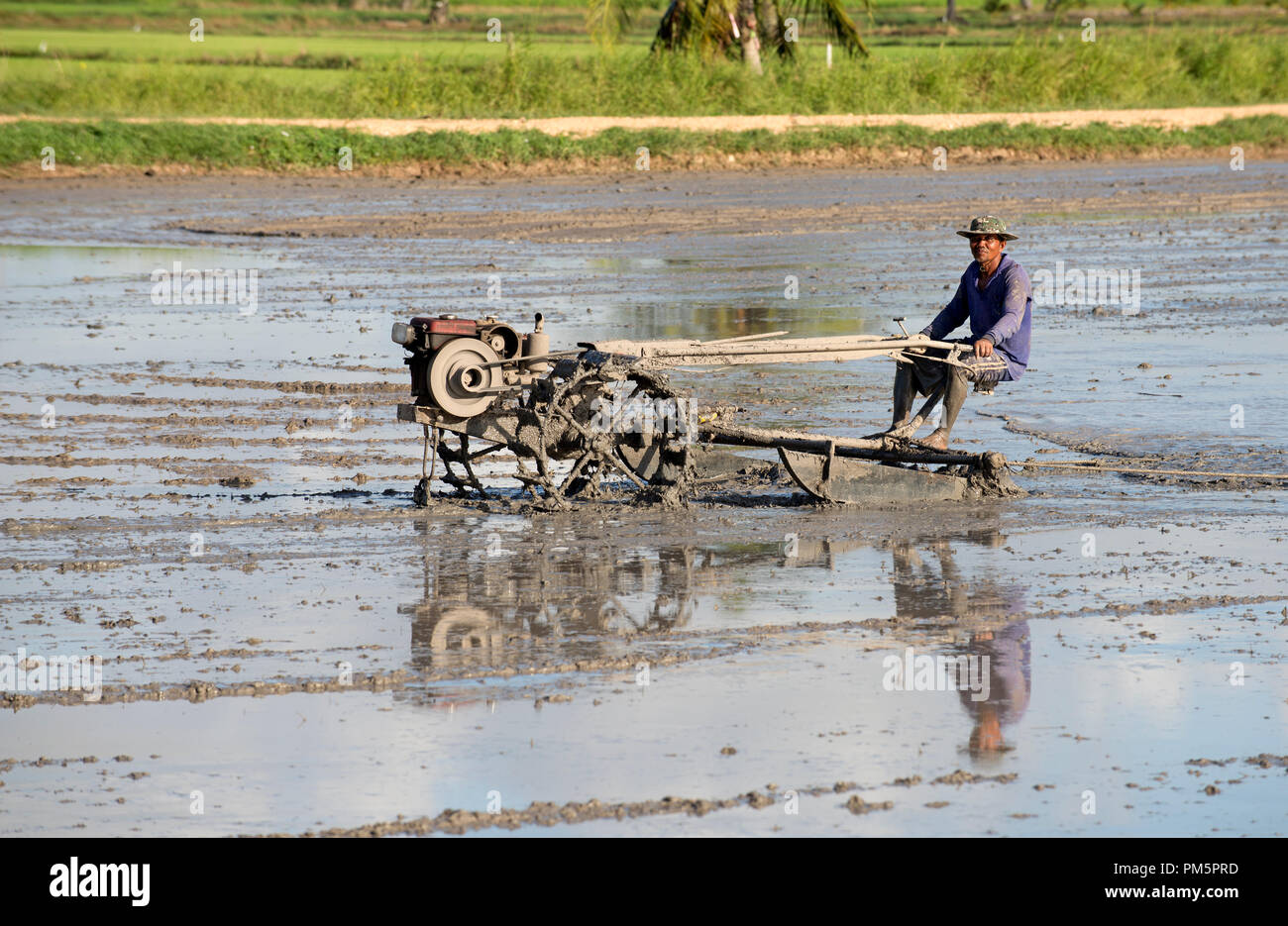 Southern Thailand, Farmer ride rice tractor for preparing the ground ...