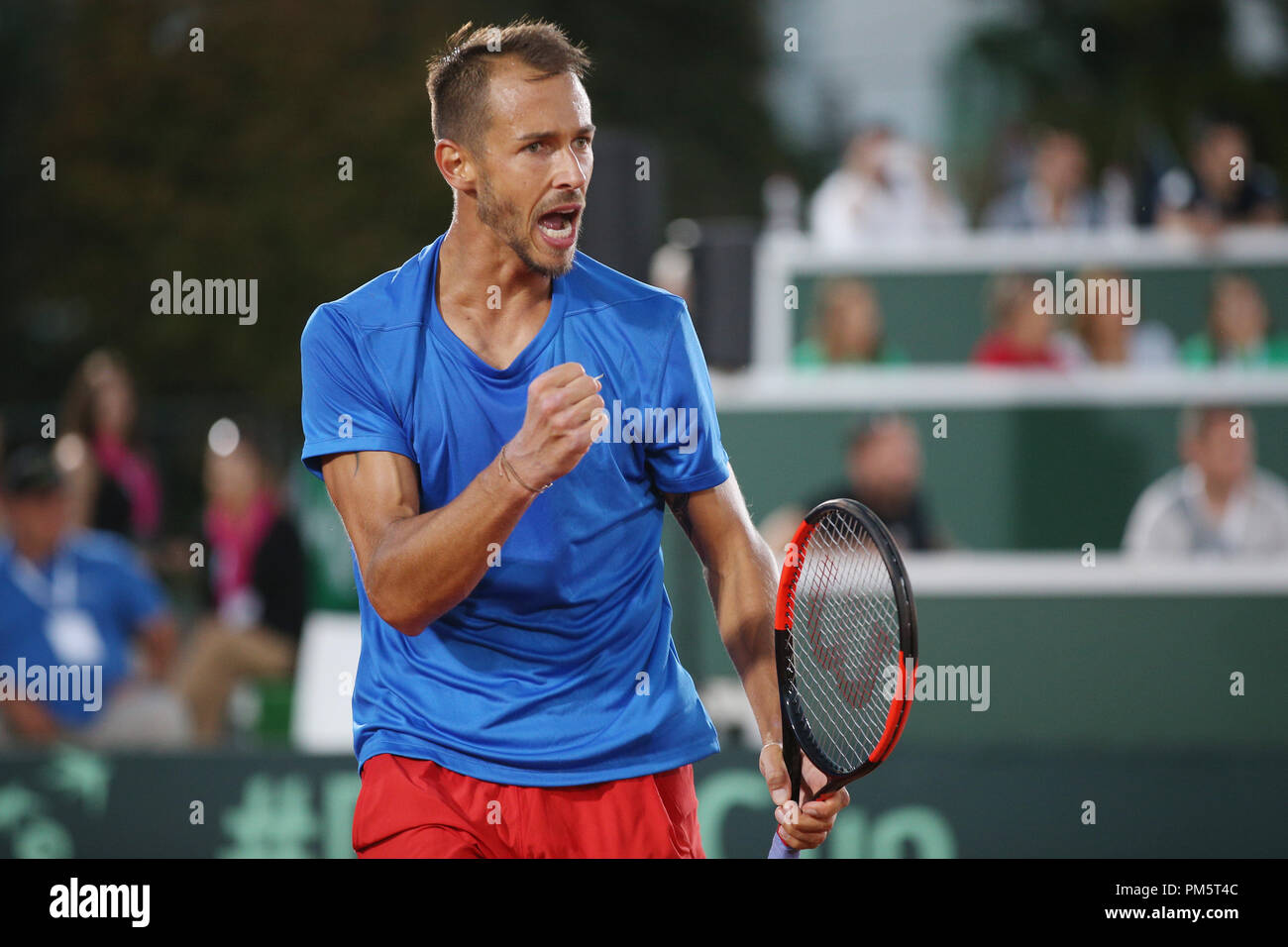 Czech tennis player Lukas Rosol is seen during the Davis Cup, world group,  play-off, match Hungary vs Czech Republic, in Budapest, Hungary, on Septemb  Stock Photo - Alamy