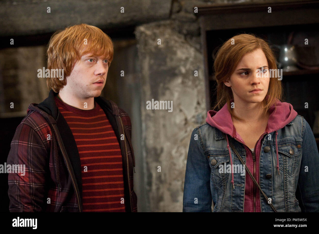Harry, Hermione & Ron (Harry Potter 7)