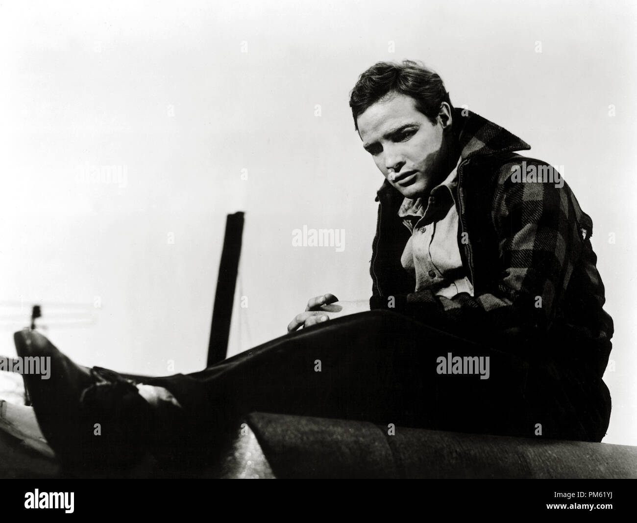 'On the Waterfront', Marlon Brando, 1954  File Reference # 30803 001 Stock Photo