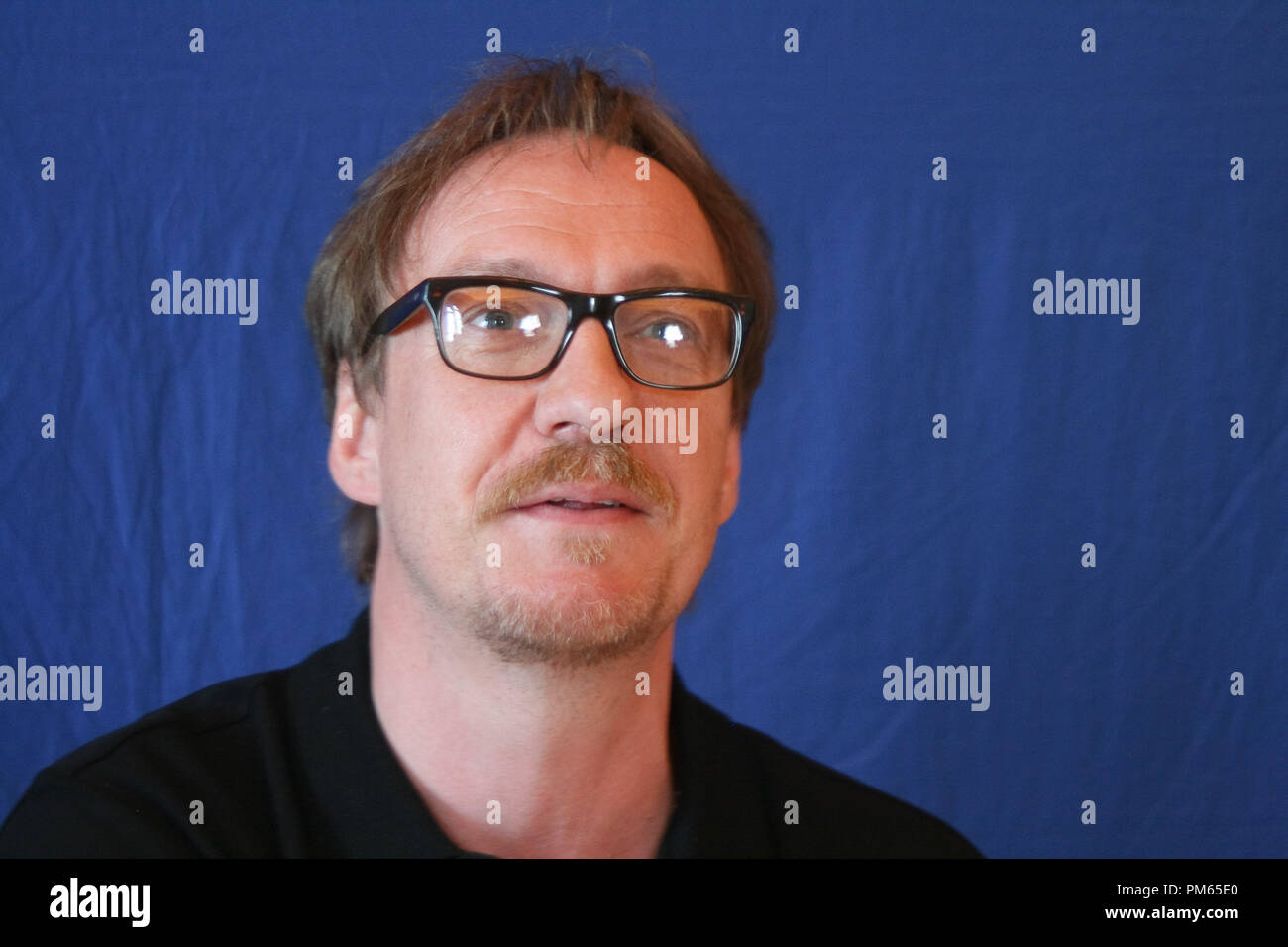 David Thewlis 'Anonymous'  Portrait Session, July 12, 2011.  Reproduction by American tabloids is absolutely forbidden. File Reference # 31024 005JRC  For Editorial Use Only -  All Rights Reserved Stock Photo