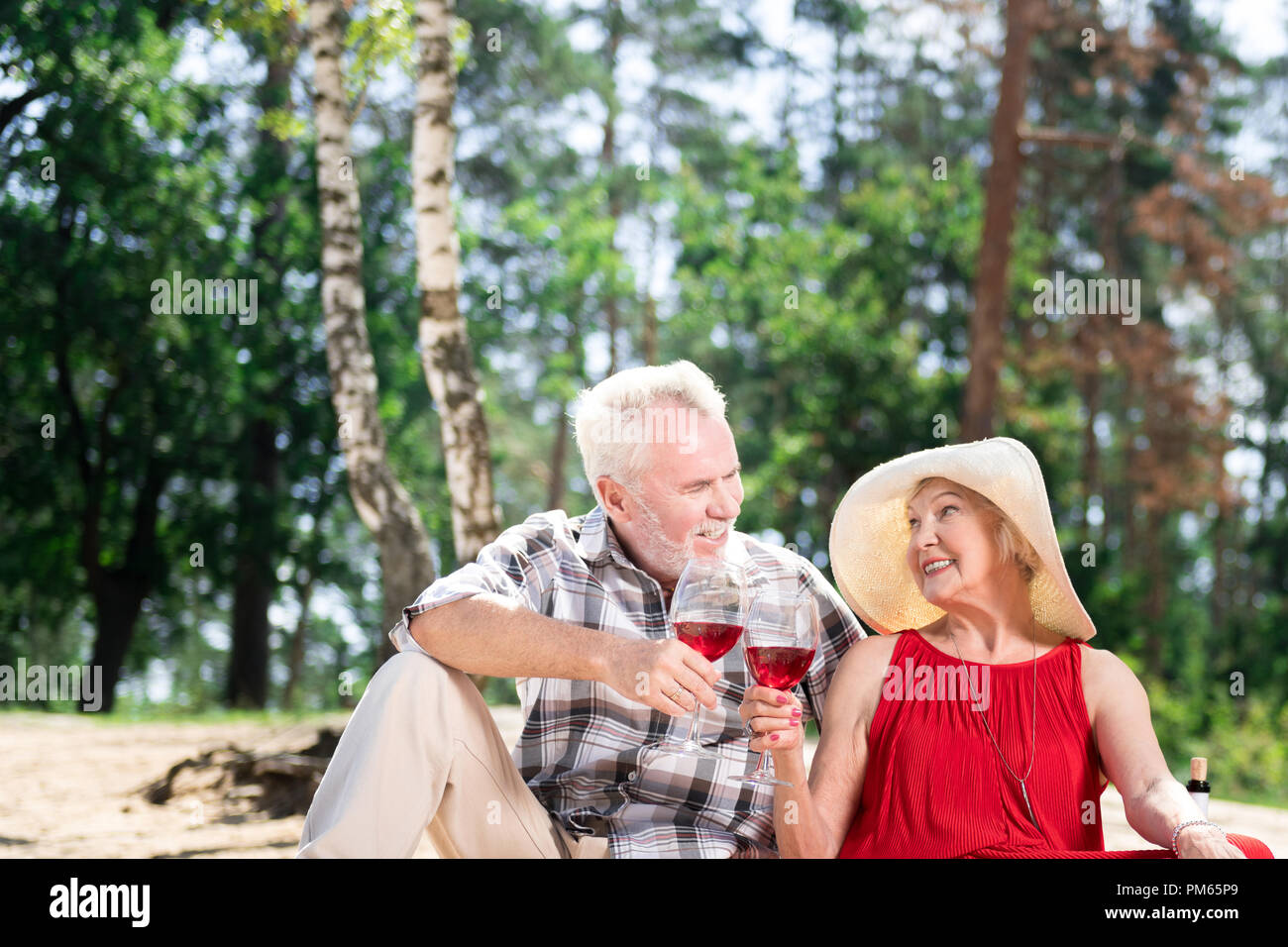Happy elderly couple drinking couple and celebrating their special day Stock Photo