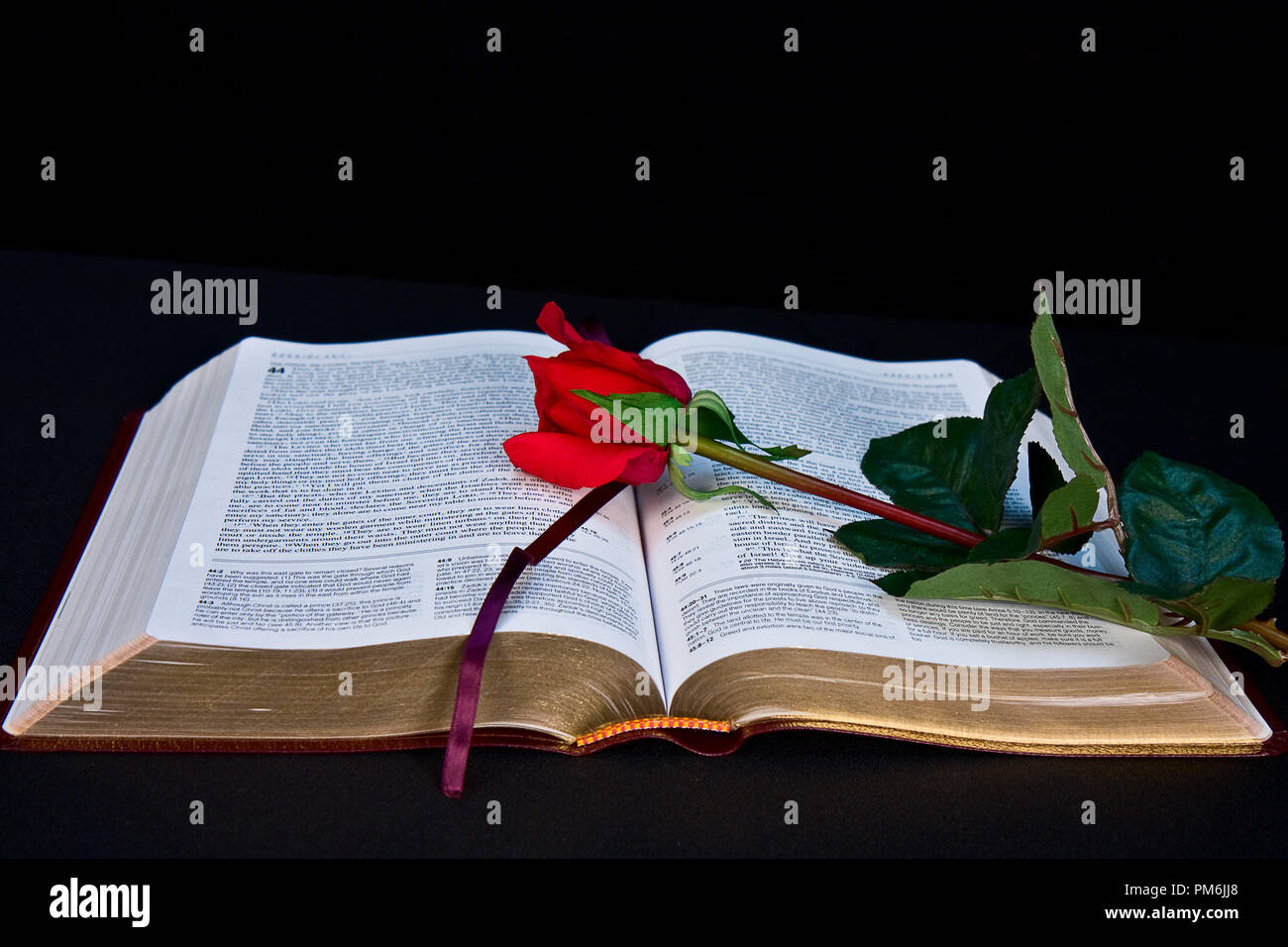 Bible opened up with worn gold on pages isolated on black background, Some images have red rose. Stock Photo