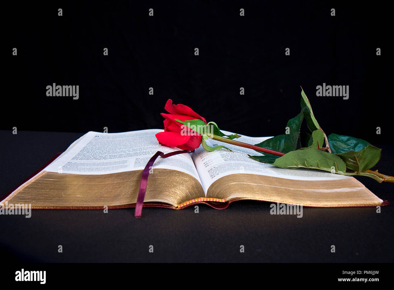 Bible opened up with worn gold on pages isolated on black background, Some images have red rose. Stock Photo