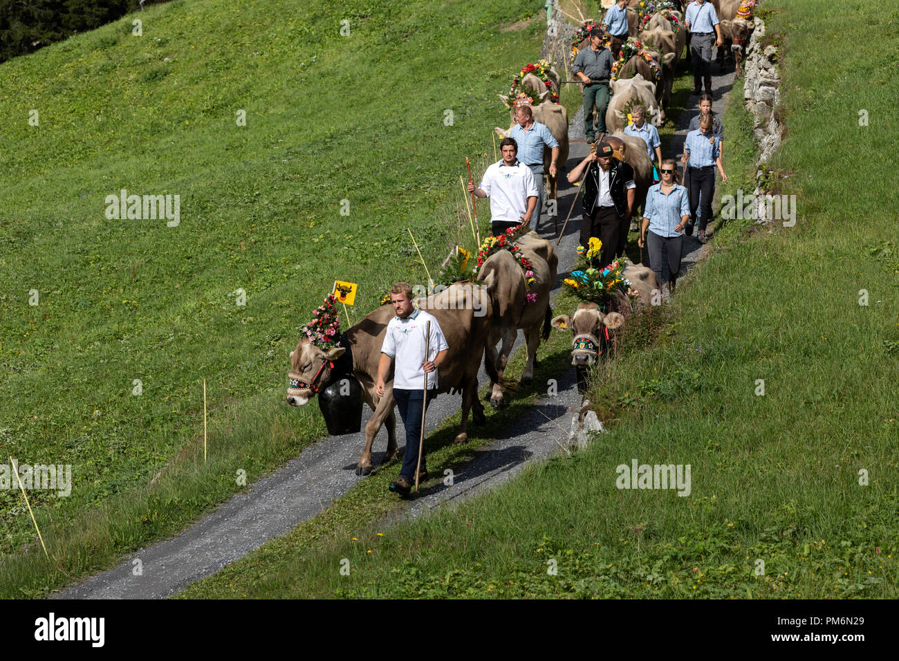 Wassen, Switzerland, September 15 2018: Ceremonial driving down of cattle from the mountain pastures Susten into the valley of Wassen in Canton Uri in Stock Photo