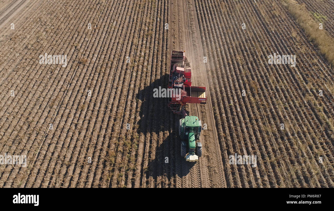 potatoes harvesting machine with tractor in farm land for harvesting potatoes. Farm machinery