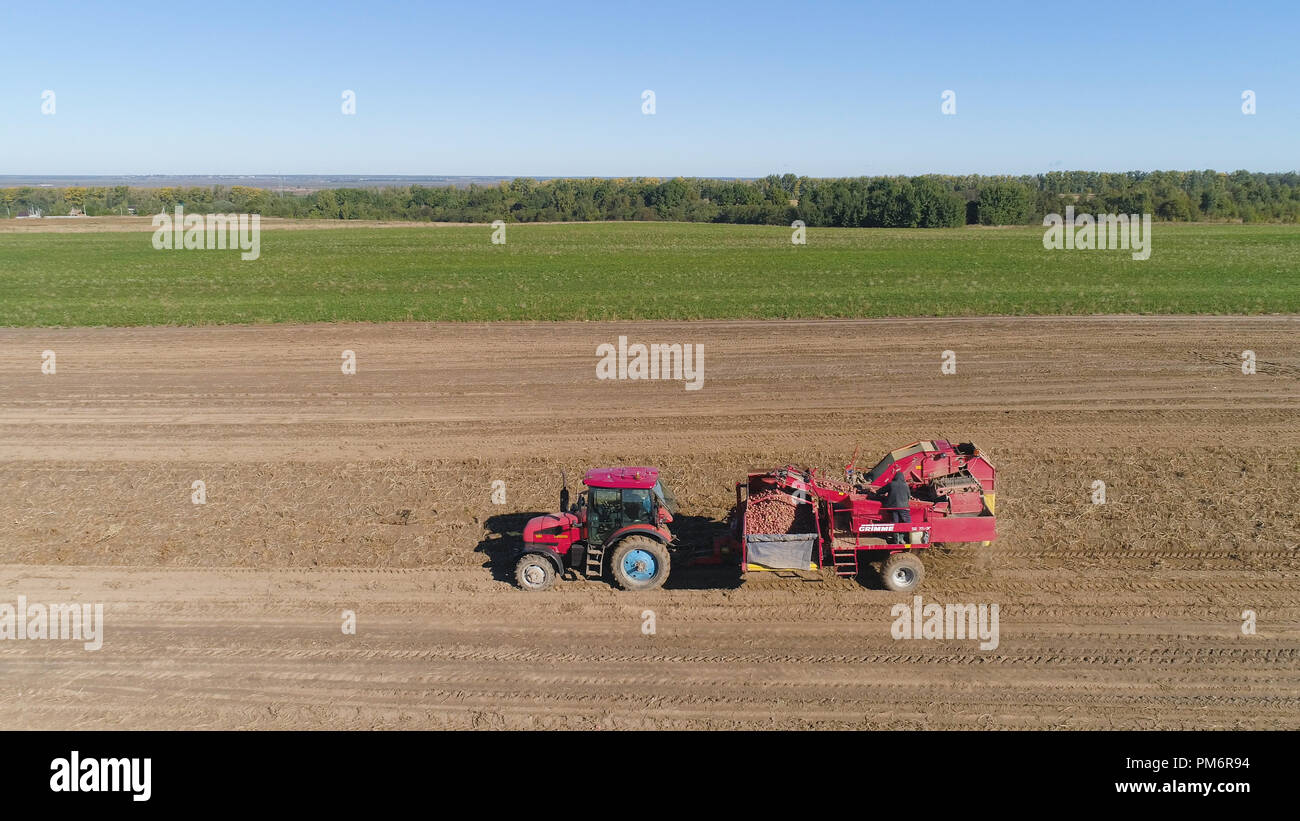 potatoes harvesting machine with tractor in farm land for harvesting potatoes. Farm machinery