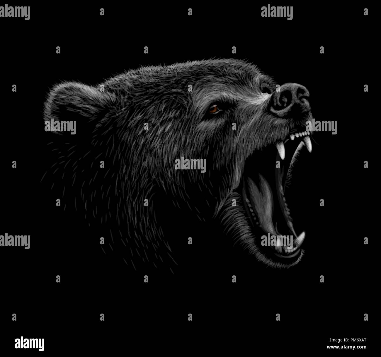 Portrait of a brown bear head on a black background. Grin of a bear Stock Vector