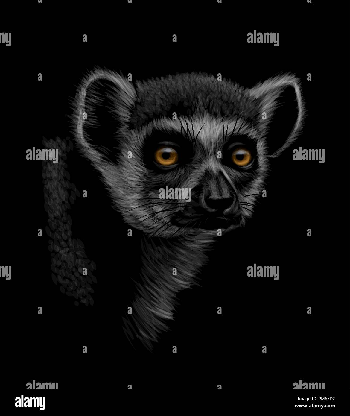Portrait of a head of a ring-tailed lemur on a black background Stock Vector