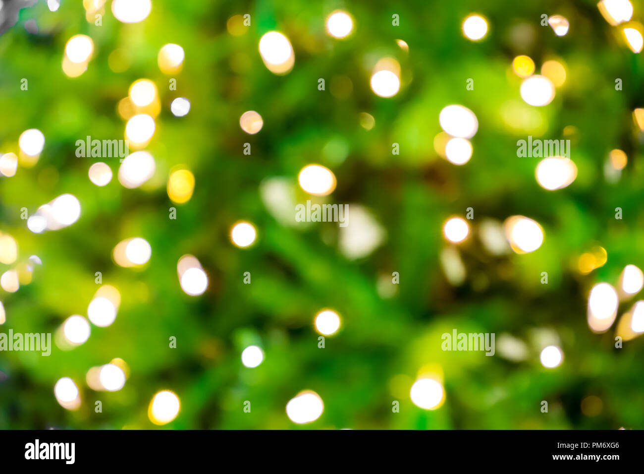 Blurred background with bokeh lights on green/closeup of blurred Christmas tree with lights Stock Photo