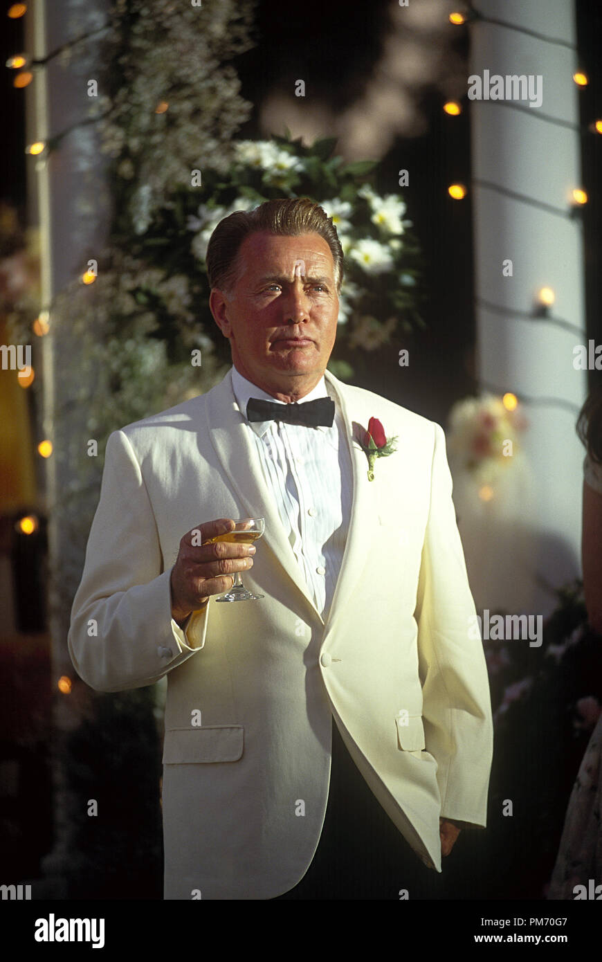 Film Still / Publicity Still from 'Catch Me If You Can' Martin Sheen © 2002 DreamWorks Photo Credit: Andrew Cooper Stock Photo