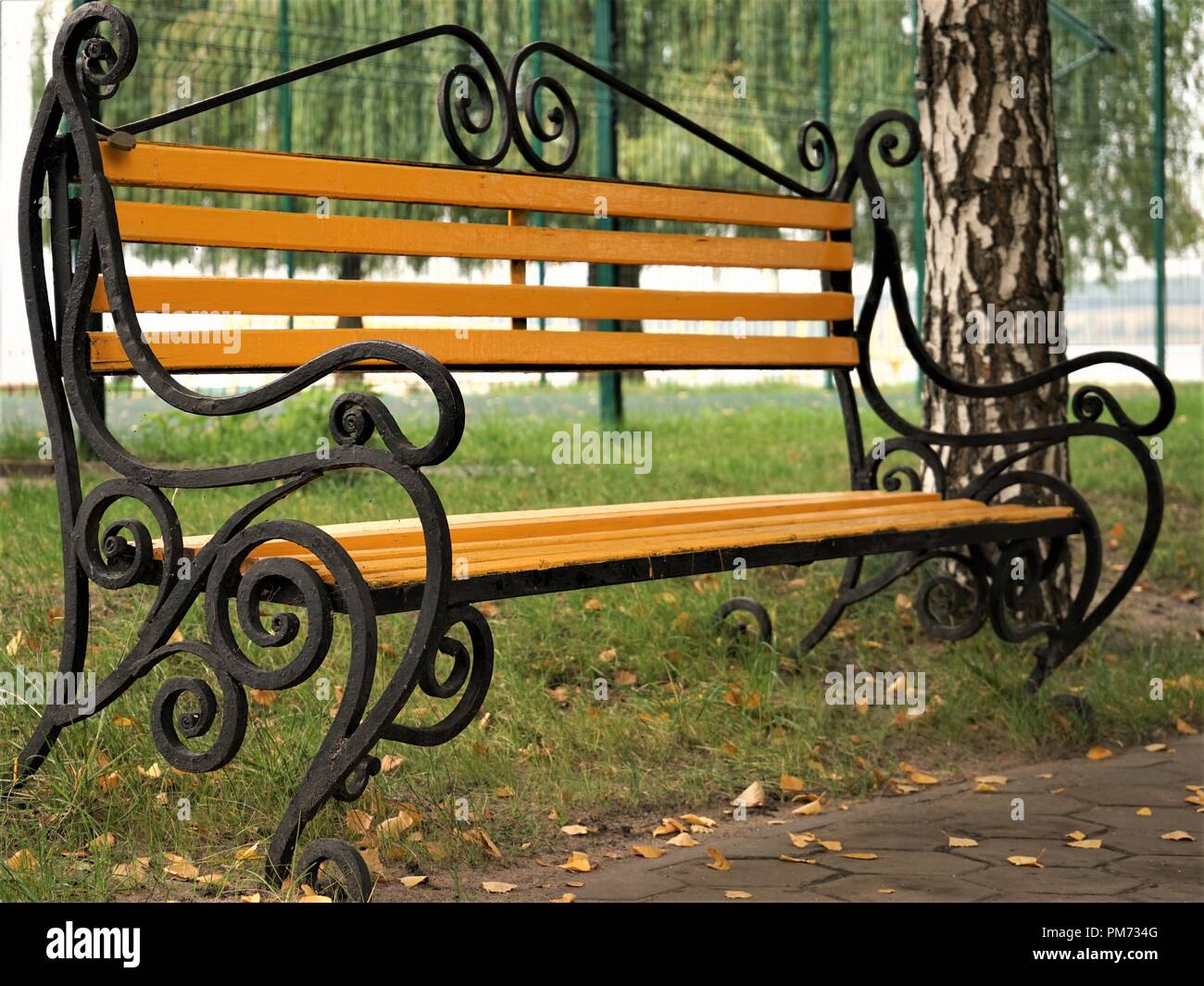 yellow wooden bench in an autumn park among birches and willow trees