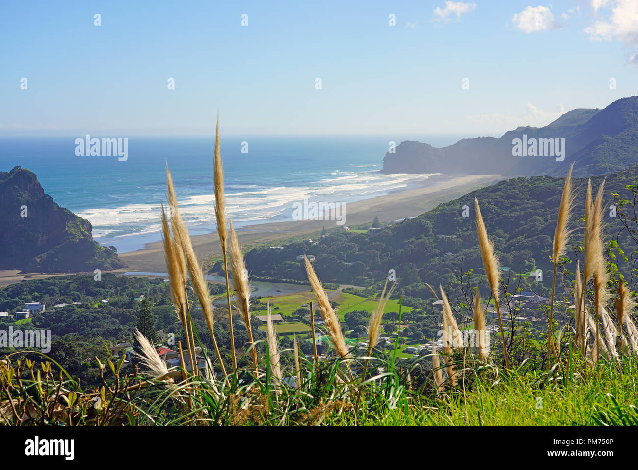 View of the black sand Piha Beach near Auckland in the North Island, New Zealand Stock Photo Alamy