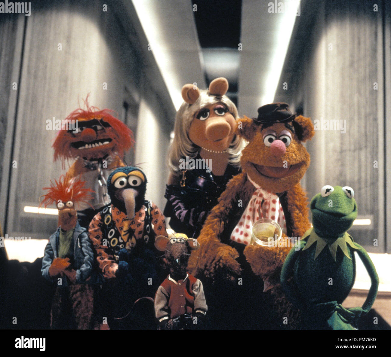 Film Still / Publicity Still from 'Muppets from Space' Animal, Gonzo, Rizzo the Rat, Miss Piggy, Fozzie Bear, Kermit the Frog, Beaker © 1999 Columbia Pictures Photo Credit: James Bridges    File Reference # 30973436THA  For Editorial Use Only -  All Rights Reserved Stock Photo