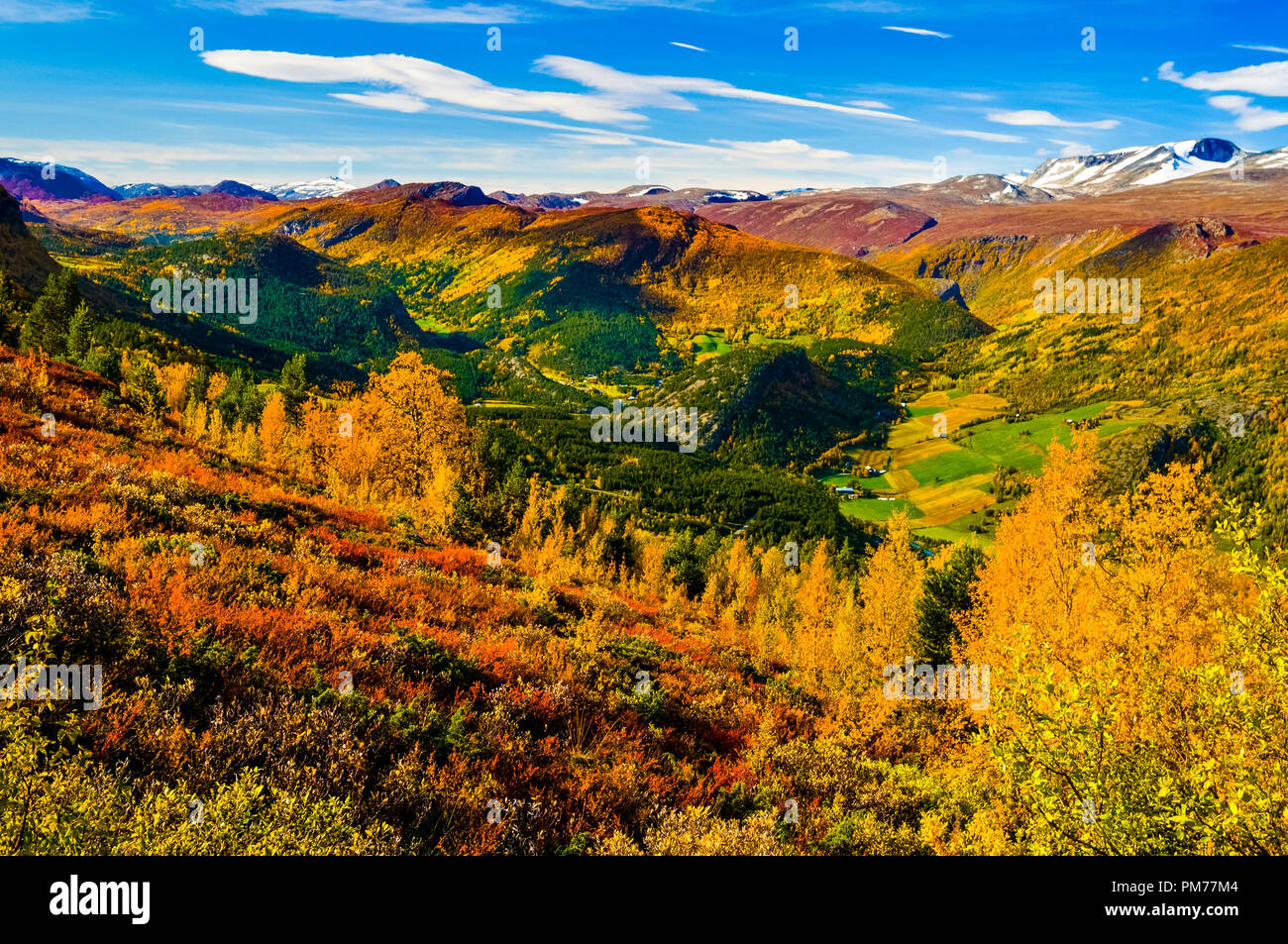 Autumn colours in the Norwegian mountains Stock Photo - Alamy